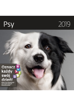 Kalendarz wieloplanszowy Psy 30x30 2019