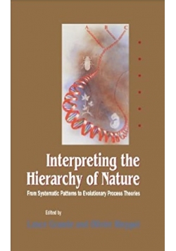 Interpreting the Hierarchy of Nature