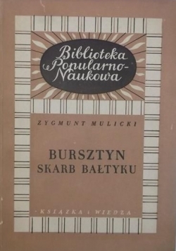 Bursztyn skarb Bałtyku