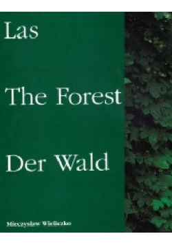 Las The Forest Der Wald
