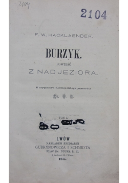 Burzyk znad jeziora, tom I i II, 1875 r.