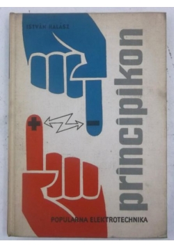 Principikon