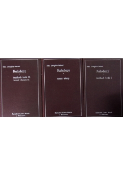 Katechezy o nauce wiary/ Katechezy o środkach łaski I / Katechezy o środkach łaski II, 1919 r.