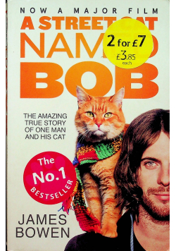 A street cat named bob