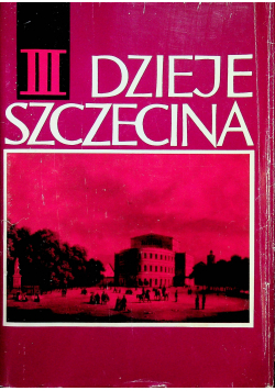 Dzieje Szczecina III