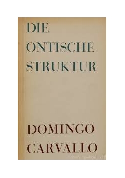 Die ontische struktur