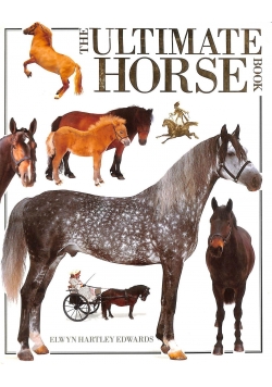 The Ultimate Horse Book