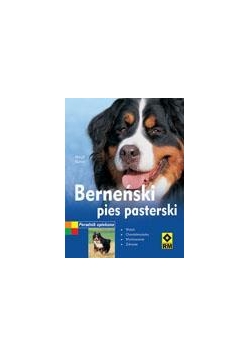 Berneński pies pasterski RM