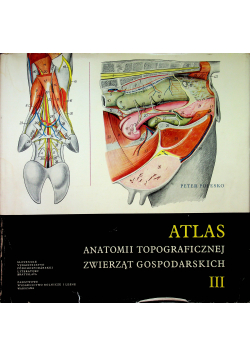 Atlas anatomii topograficznej