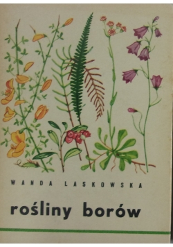 Rośliny borów