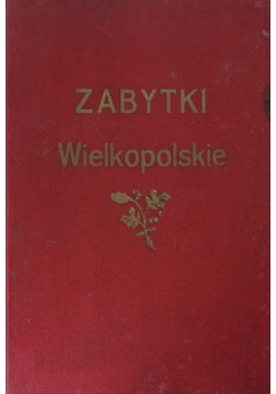 Zabytki wielkopolskie, 1929 r.