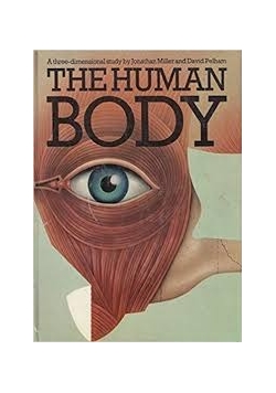 The human body