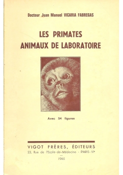 Les Primates Animaux De Laboratoire