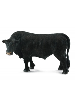 Byk czarny Angus
