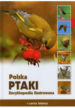 Polska. Ptaki. Encyklopedia ilustrowana