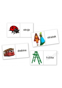 Domino logopedyczne wyrazowo - obrazkowe DR-TR