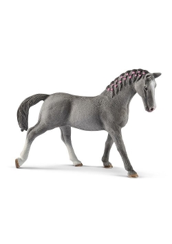 Trakehner Klacz