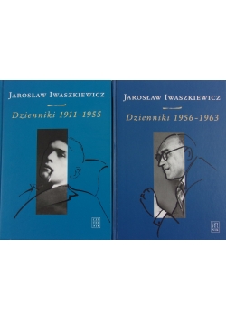 Dzienniki