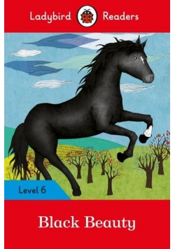 Black Beauty Level 6
