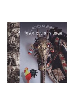 Polskie instrumenty ludowe, nowa