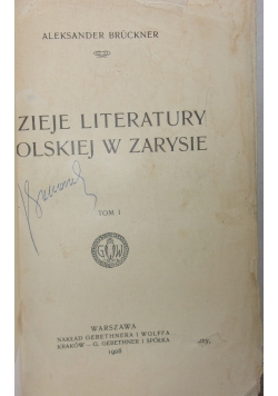 Dzieje literatury polskiej w zarysie, 1908 r.