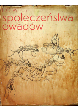 Społeczeństwa owadów