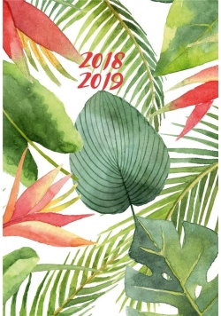 Kalendarz tygodniowy B6 2018-2019 Liście Trop. ALB