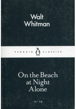 On the Beach at Night Alone