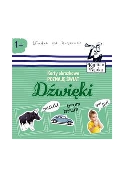Karty obrazkowe Poznaję świat Dźwięki