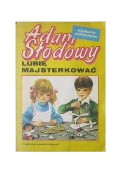 Lubię Majsterkować