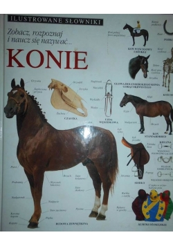 Konie ilustrowane słowniki