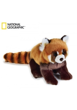 Panda Ruda Pacynka