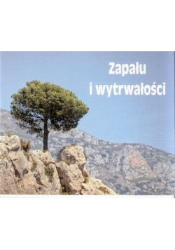 Perełka 195 - Zapału i wytrwałości