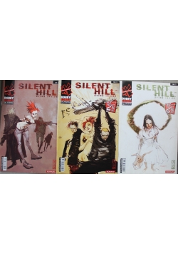 Silent Hill Dying Inside 3 numery