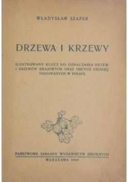 Drzewa i krzewy 1949 r.
