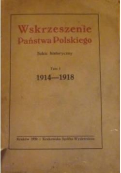 Wskrzeszenie Państwa Polskiego, Tom I 1920r.