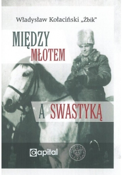 Między młotem a swastyką
