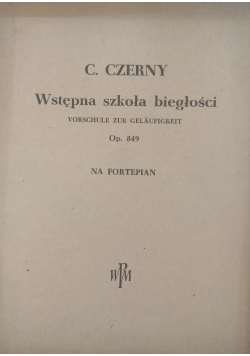 Wstępna szkoła biegłości