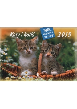 Kalendarz 2019 WL 09 Koty i kotki