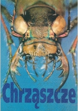 Chrząszcze