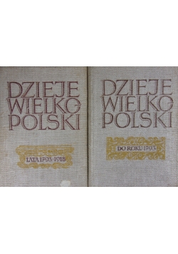 Dzieje Wielkopolski do roku 1793,, Tom I-II