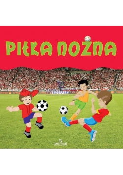 Piłka nożna ARYSTOTELES