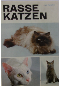 Rasse katzen