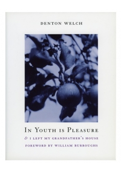 In Youth is Pleasure