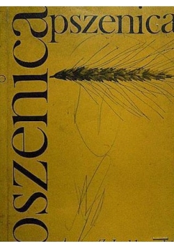 Pszenica