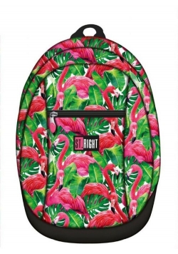 Plecak dziewczęcy 1-komorowy Flamingo Pink & Green