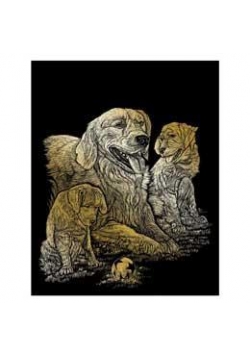 Wydrapywanka złota Golden Retriever