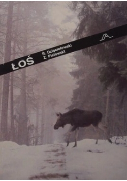 Łoś