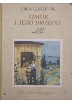Timur i jego drużyna