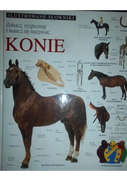 Ilustrowane słowniki.Konie